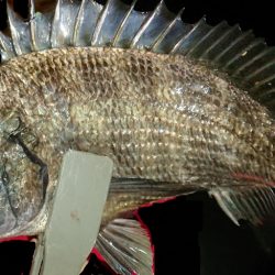 またもや起死回生